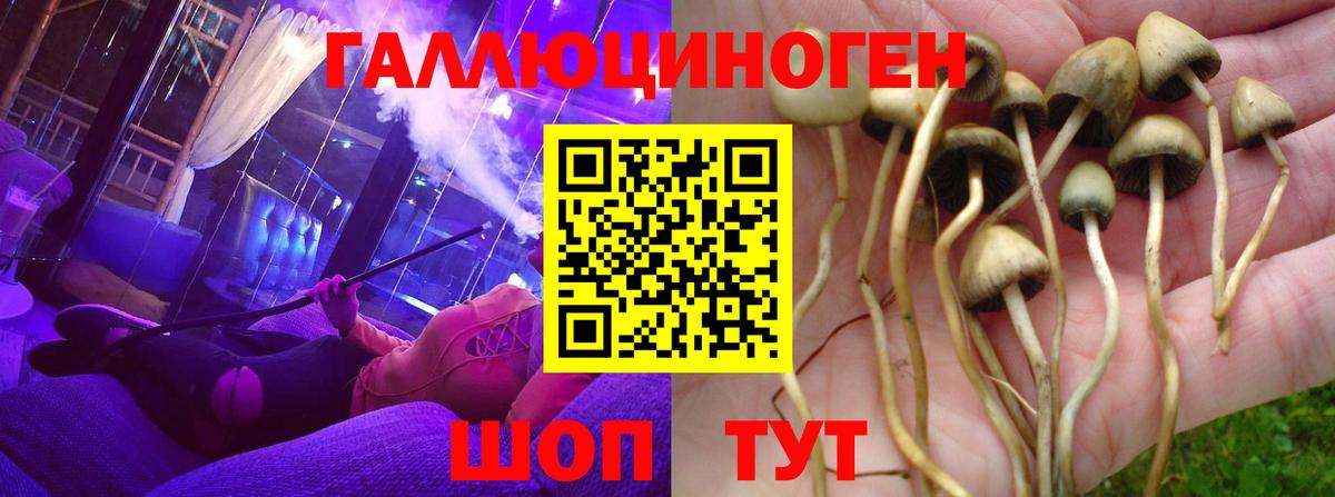 Псилоцибиновые грибы Magic Shrooms  Вход с VPN  Галлюциногенные грибы Magic Shrooms  Советская Гавань 