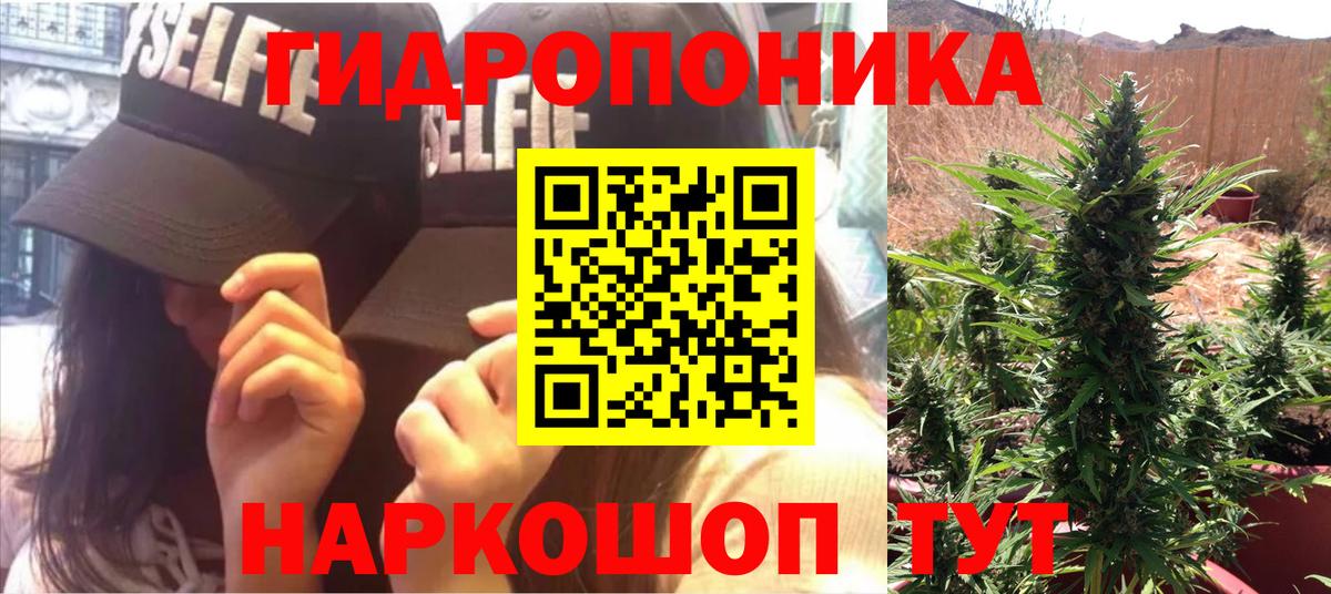 Бошки марихуана Ganja  Вход с VPN  Советская Гавань  Каннабис план  МАРИХУАНА гибрид  Бошки марихуана семена 
